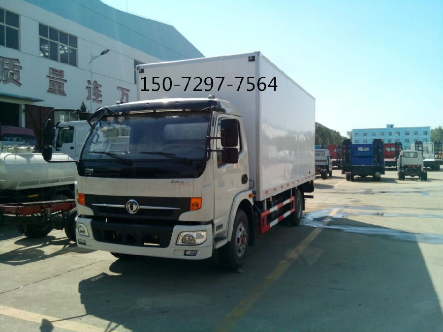 東風凱普特 (2).jpg