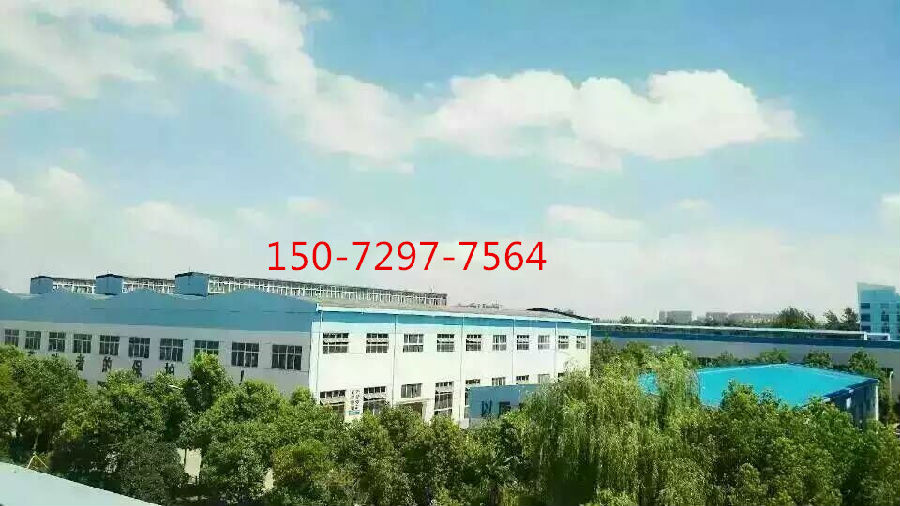 程力外貌 (1).jpg