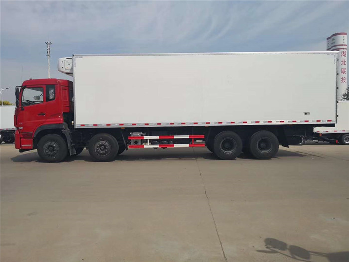 東風(fēng)天龍9米6冷藏車(chē)