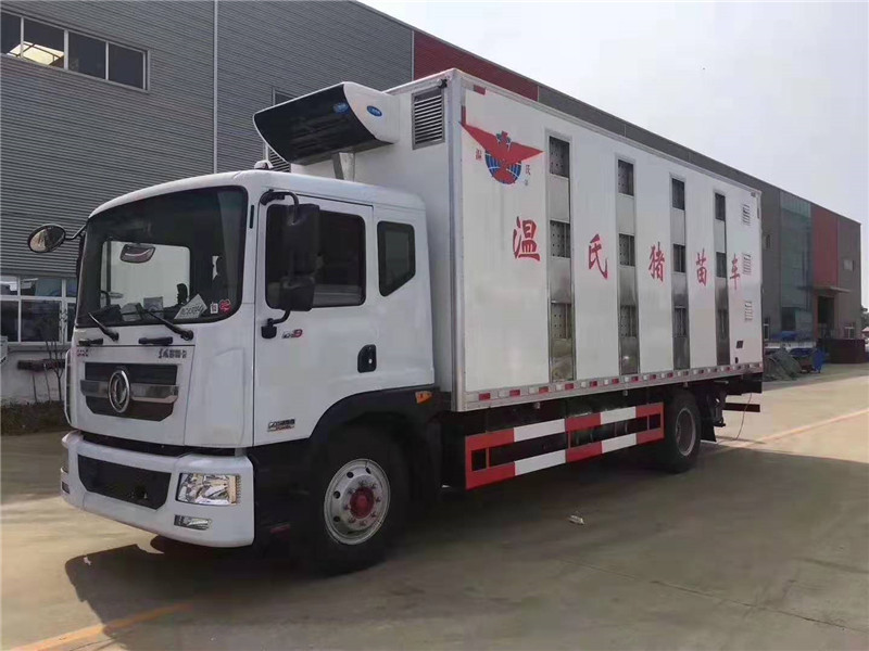 東風(fēng)多利卡6米8豬苗運輸 東風(fēng)多利卡6米8豬苗運輸